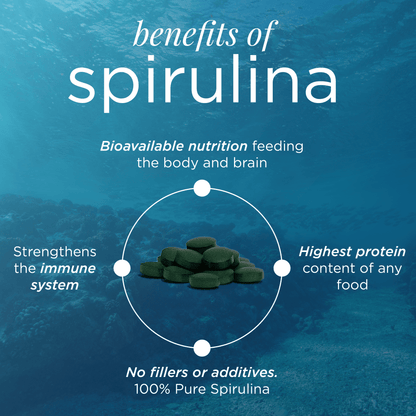ENERGYbits® Spirulina | Large Bag